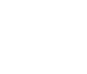 Logo Asociatia interetnica Transilvania kult 7